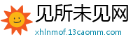 见所未见网